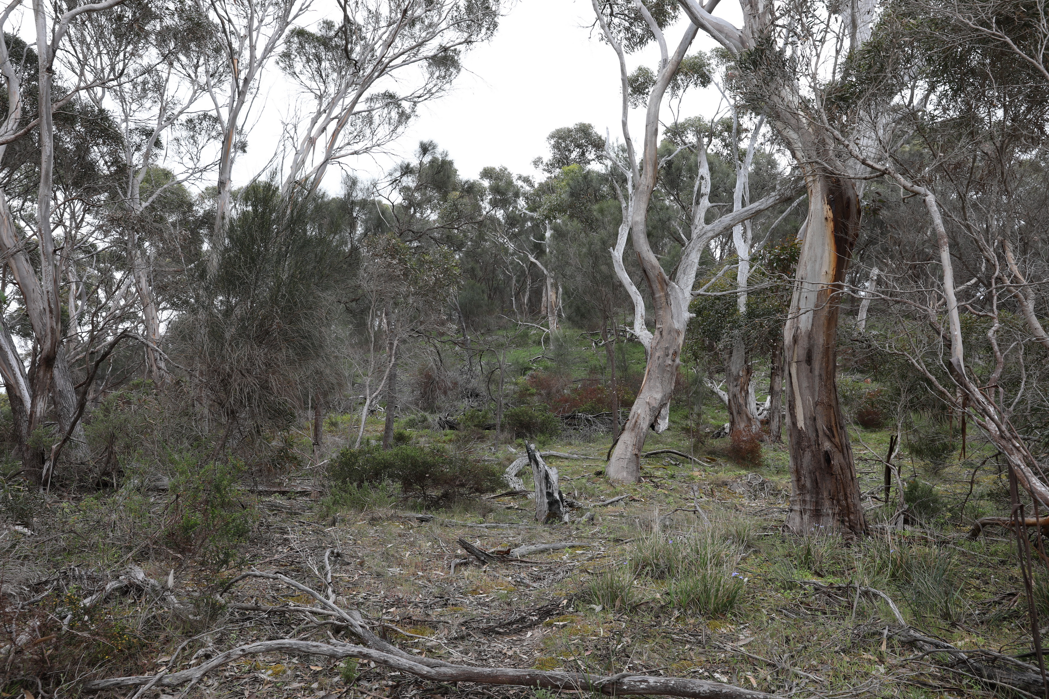 2019 10 06 13 04 33 Canon EOS 5D Mark IV 0003